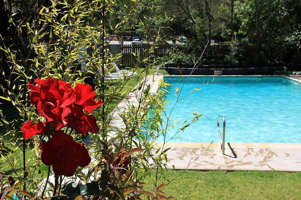 Big Sur River Inn מראה חיצוני תמונה